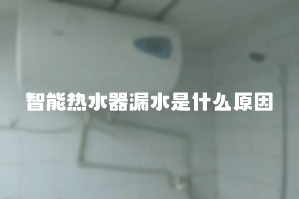 智能熱水器漏水是什么原因