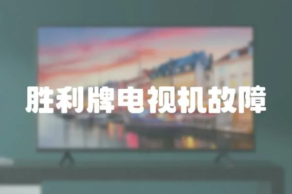 勝利牌電視機故障