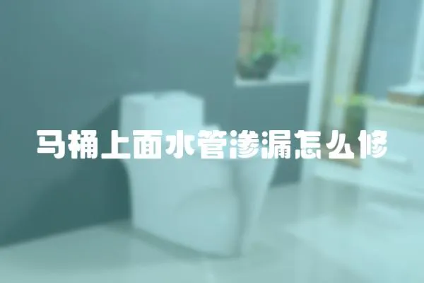 馬桶上面水管滲漏怎么修
