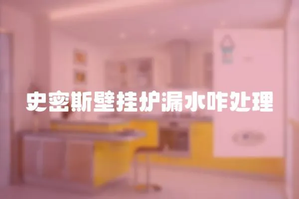 史密斯壁掛爐漏水咋處理
