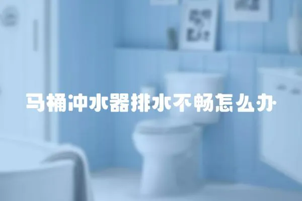 馬桶沖水器排水不暢怎么辦
