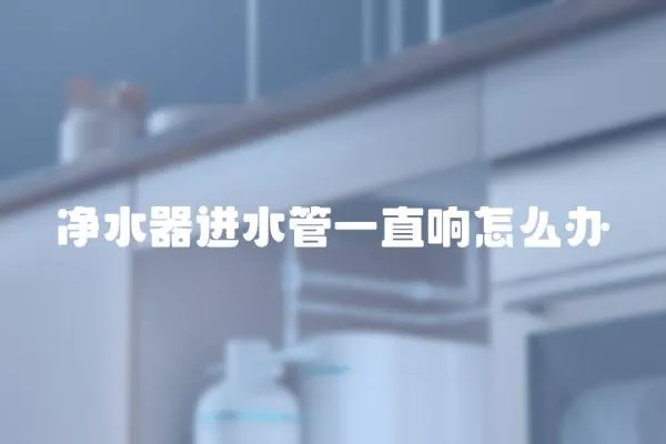 凈水器進水管一直響怎么辦