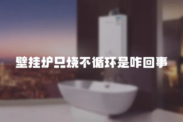 壁掛爐只燒不循環(huán)是咋回事