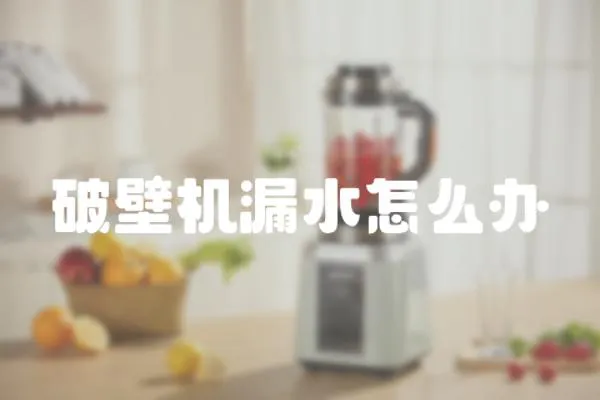 破壁機漏水怎么辦