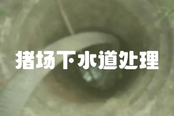 豬場下水道處理