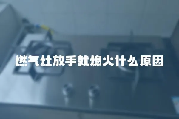 燃?xì)庠罘攀志拖ɑ鹗裁丛?></a></div>
                    <div   id=