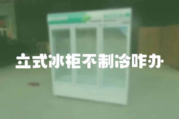 立式冰柜不制冷咋辦