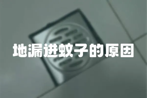 地漏進蚊子的原因