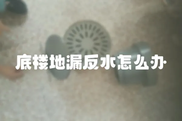 底樓地漏反水怎么辦