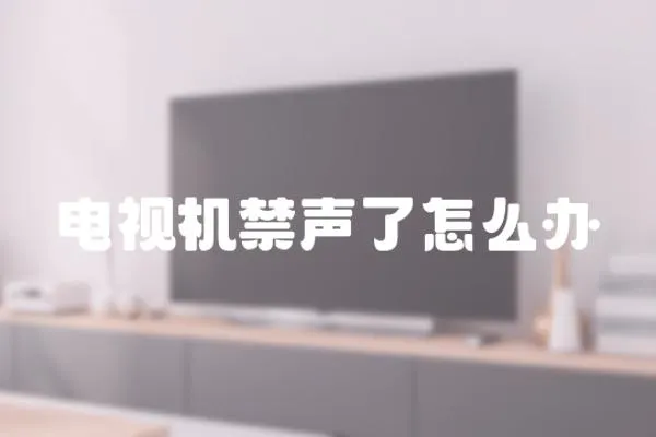 電視機禁聲了怎么辦