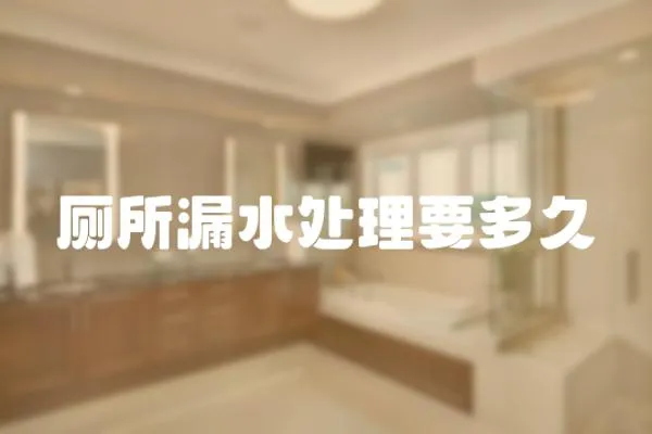 廁所漏水處理要多久