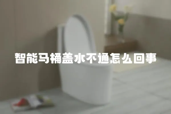 智能馬桶蓋水不通怎么回事