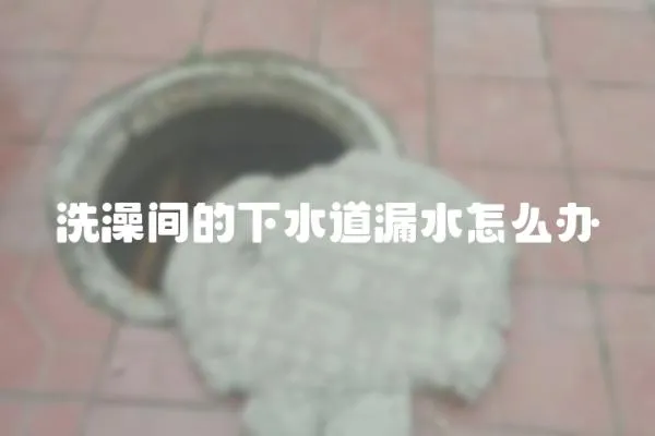 洗澡間的下水道漏水怎么辦