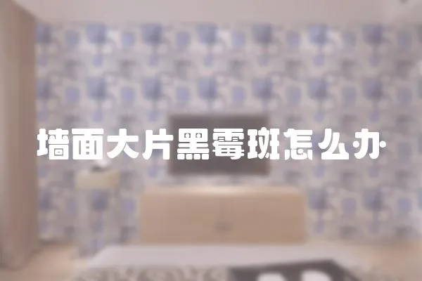 墻面大片黑霉斑怎么辦