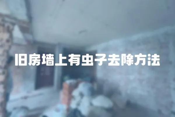 舊房墻上有蟲子去除方法