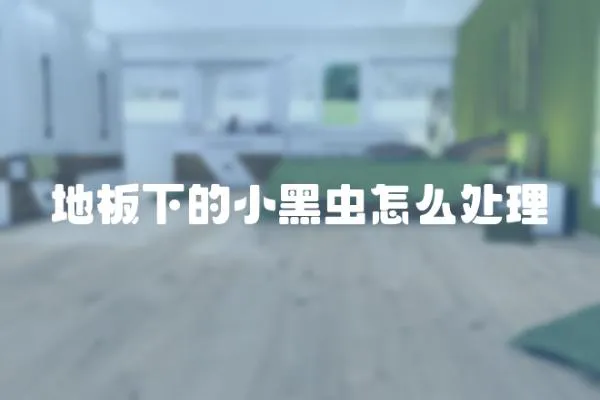 地板下的小黑蟲(chóng)怎么處理