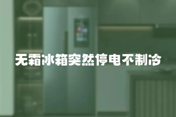 無霜冰箱突然停電不制冷