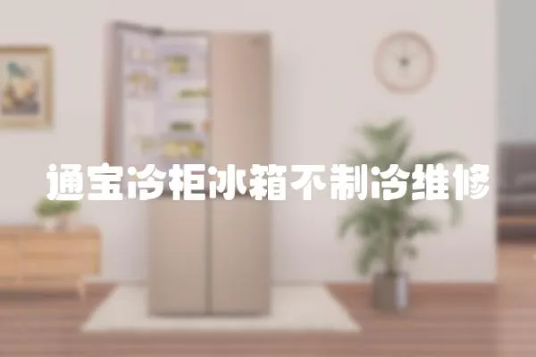 通寶冷柜冰箱不制冷維修