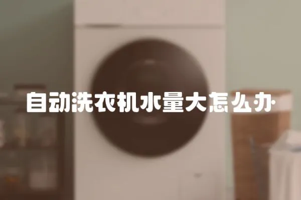 自動洗衣機水量大怎么辦