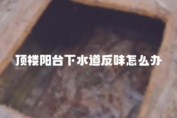 頂樓陽臺下水道反味怎么辦