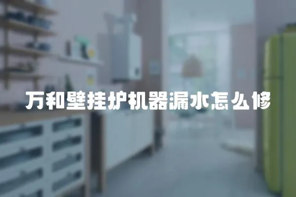 萬和壁掛爐機器漏水怎么修