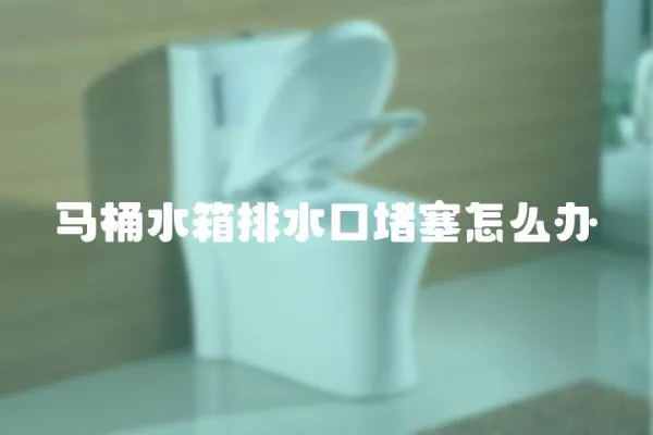 馬桶水箱排水口堵塞怎么辦