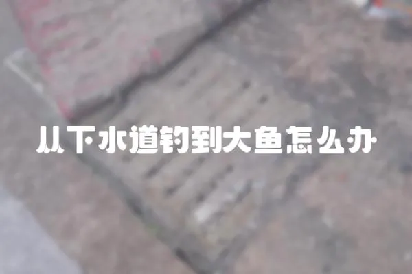 從下水道釣到大魚怎么辦