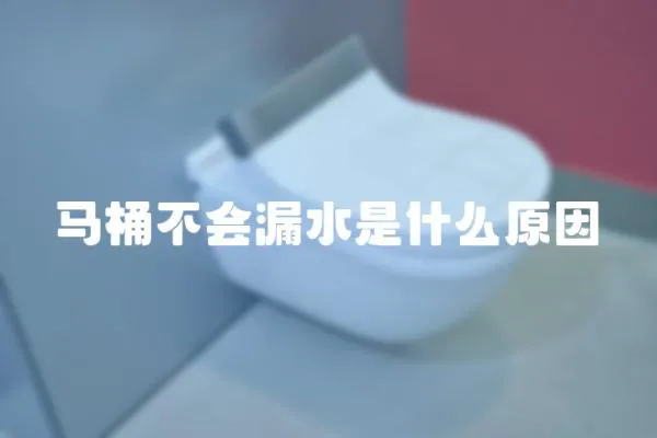 馬桶不會漏水是什么原因