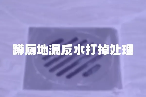 蹲厕地漏反水打掉处理