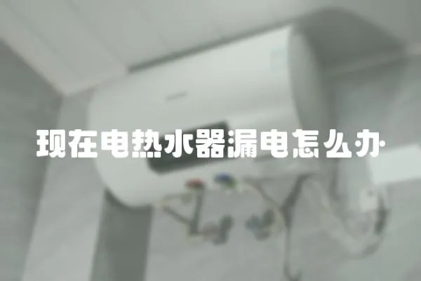 現在電熱水器漏電怎么辦