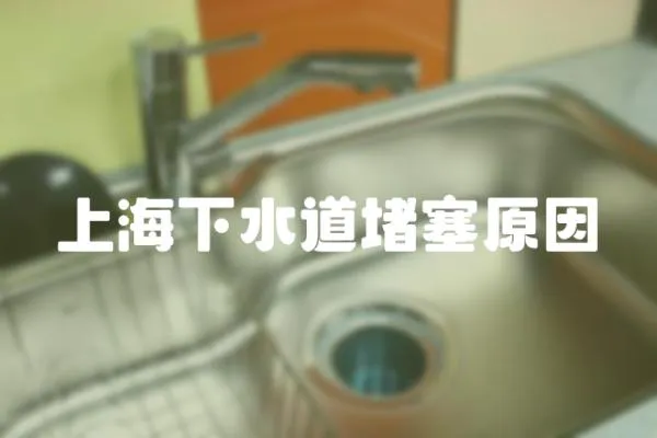 上海下水道堵塞原因