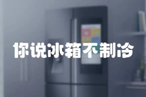 你說冰箱不制冷