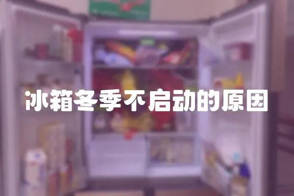 冰箱冬季不啟動的原因