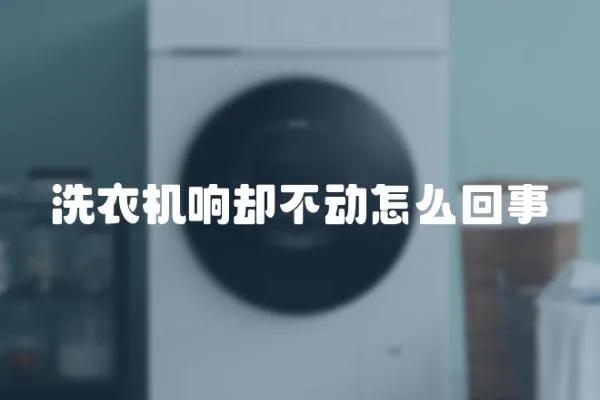 洗衣機響卻不動怎么回事