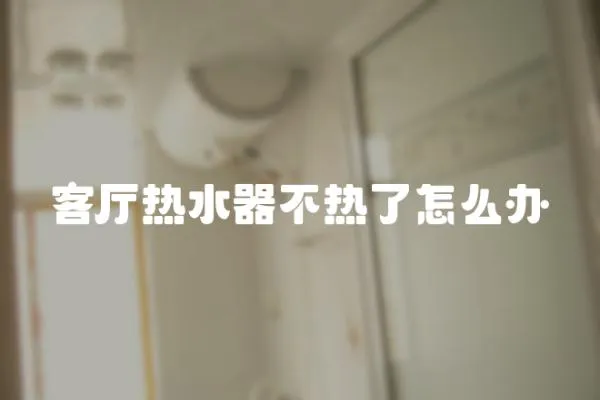 客廳熱水器不熱了怎么辦