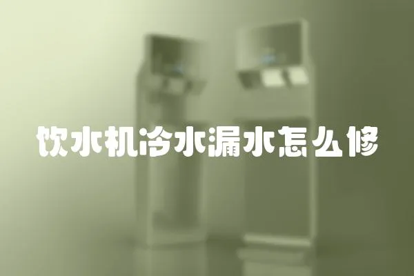 飲水機冷水漏水怎么修