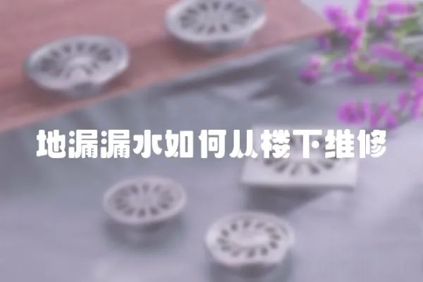 地漏漏水如何從樓下維修