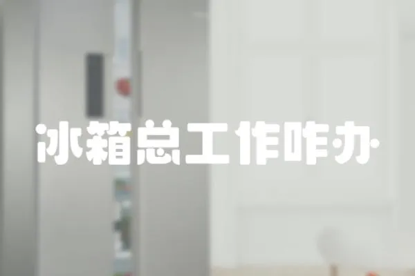 冰箱總工作咋辦