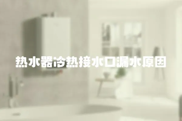 熱水器冷熱接水口漏水原因