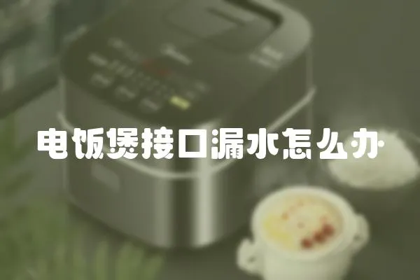 電飯煲接口漏水怎么辦
