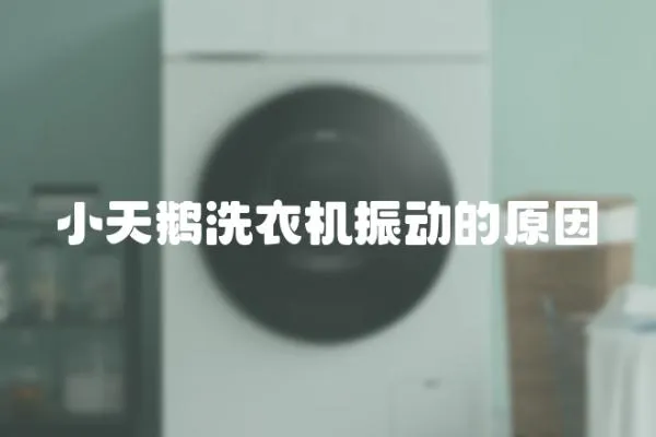 小天鵝洗衣機振動的原因