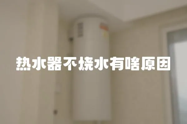 熱水器不燒水有啥原因