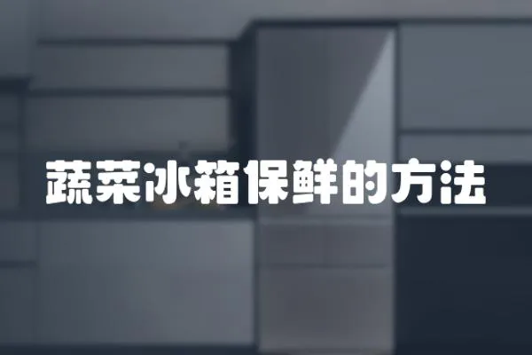 蔬菜冰箱保鮮的方法