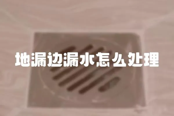 地漏边漏水怎么处理