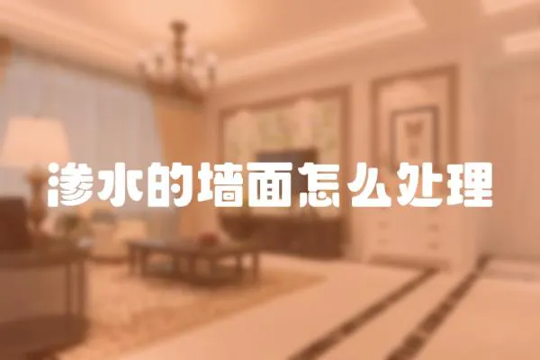 滲水的墻面怎么處理