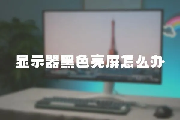 顯示器黑色亮屏怎么辦