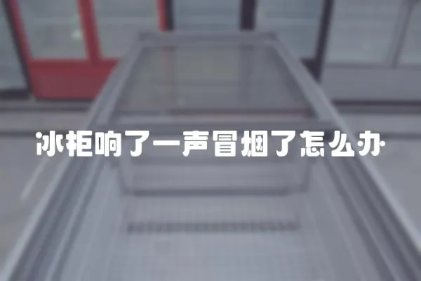 冰柜響了一聲冒煙了怎么辦