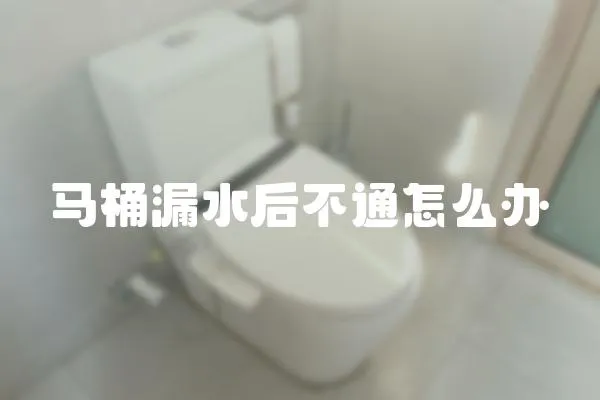 馬桶漏水后不通怎么辦