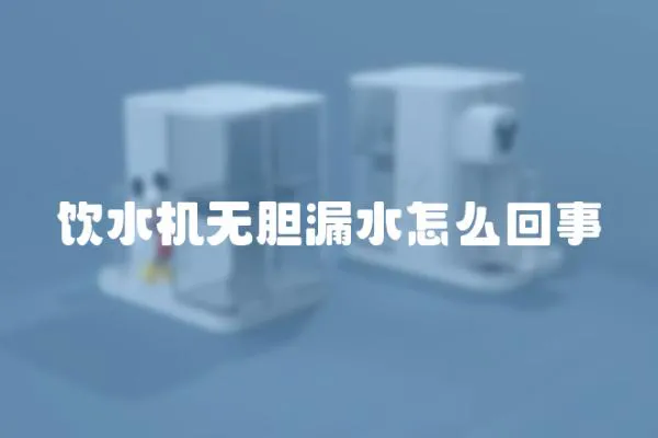 飲水機無膽漏水怎么回事