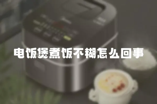 電飯煲煮飯不糊怎么回事